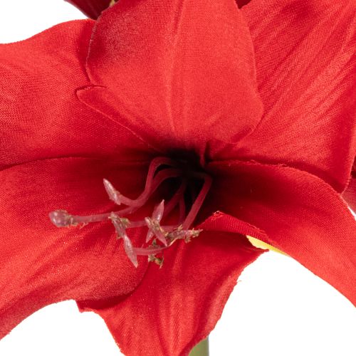 Konstgjord röd amaryllisblomma med stjälk, blomsterdekoration till jul, 50 cm | Floristik24.se