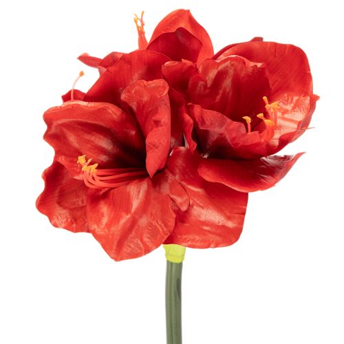 Konstgjord amaryllisblomma, röd, lång stjälk, för vas och arrangemang, 77 cm köpa | Floristik24.se