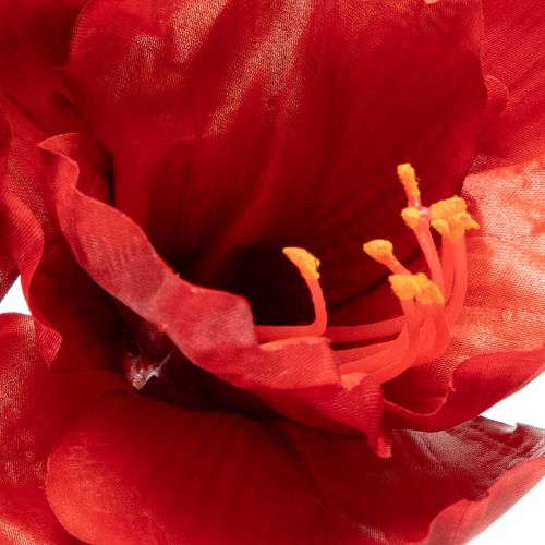 Konstgjord amaryllisblomma, röd, lång stjälk, för vas och arrangemang, 77 cm | Floristik24.se