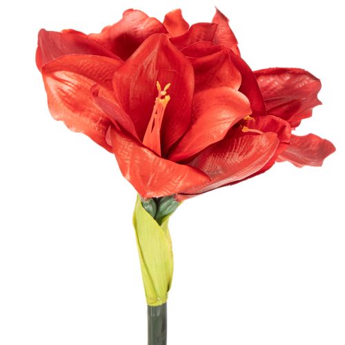 Konstgjord amaryllisblomma, röd, lång stjälk, för vas och arrangemang, 77 cm | Floristik24.se