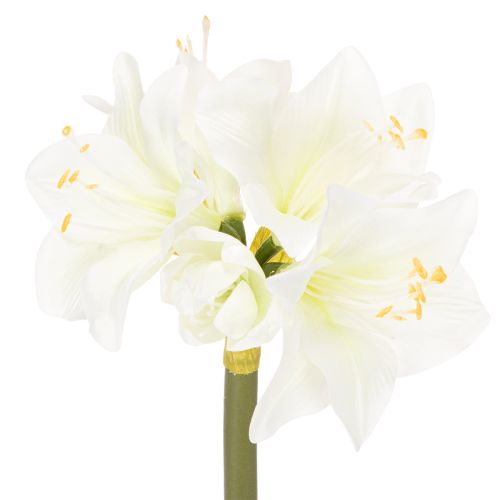 Konstgjord amaryllisblomma, vit, med stjälk, advent och jul, 50 cm köpa | Floristik24.se
