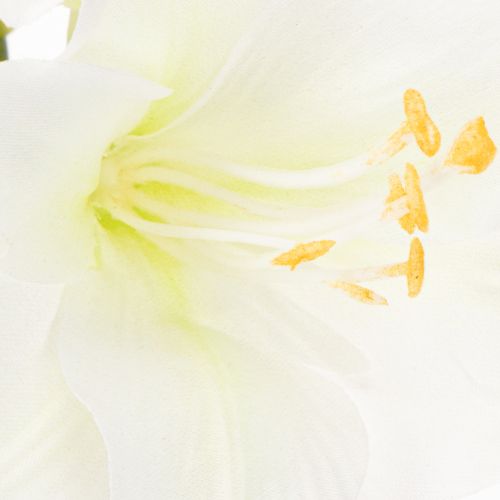 Konstgjord amaryllisblomma, vit, med stjälk, advent och jul, 50 cm | Floristik24.se