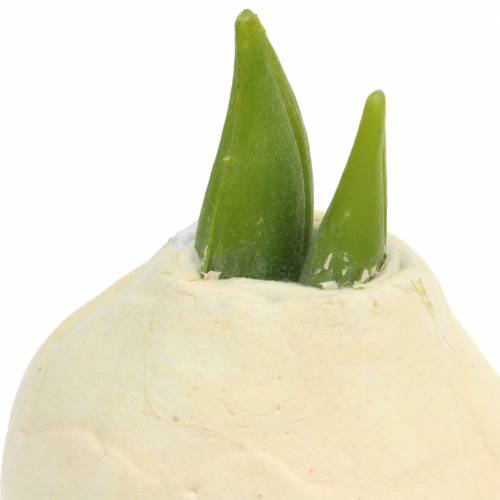 Floristik24 Amaryllis knöl Konstgjord vit 12,5 cm 3st