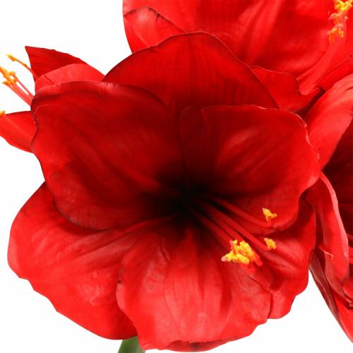 Artikel Amaryllis röd 75cm