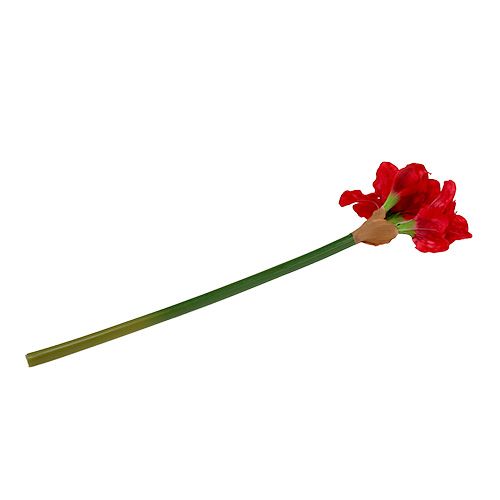 Floristik24 Amaryllis mörkröd 72,5cm