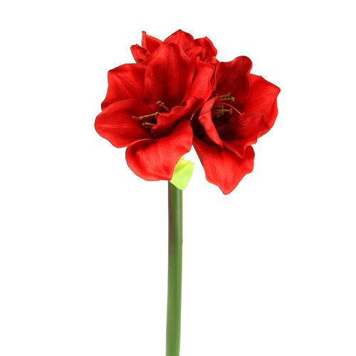 Floristik24 Amaryllis konstgjord 60cm röd