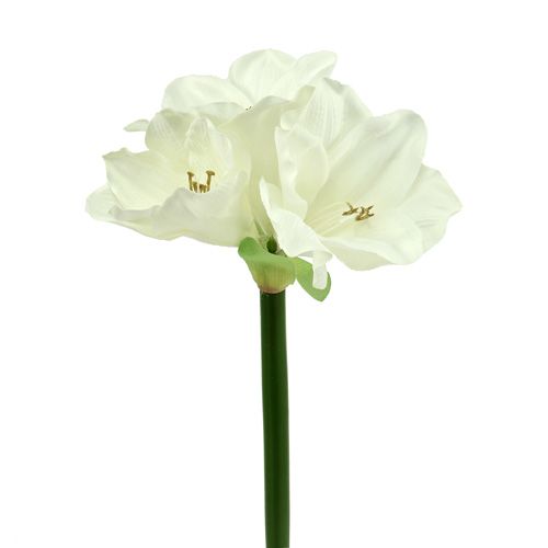 Floristik24 Amaryllis konstgjord 60cm vit