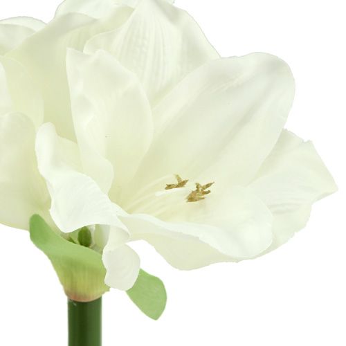 Floristik24 Amaryllis konstgjord 60cm vit