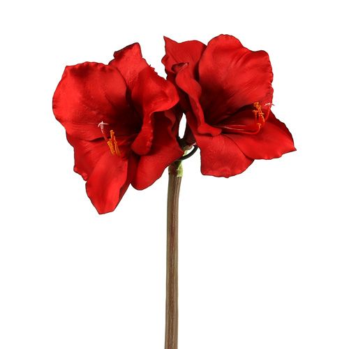 Floristik24 Amaryllis konstgjord stor röd 96,5 cm