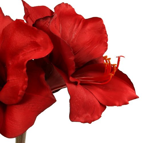 Floristik24 Amaryllis konstgjord stor röd 96,5 cm