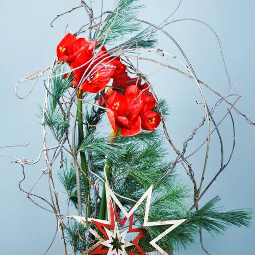 Artikel Amaryllis röd 75cm