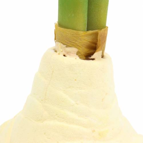 Floristik24 Amaryllisknöl med knoppar Konstgjord vit H30cm