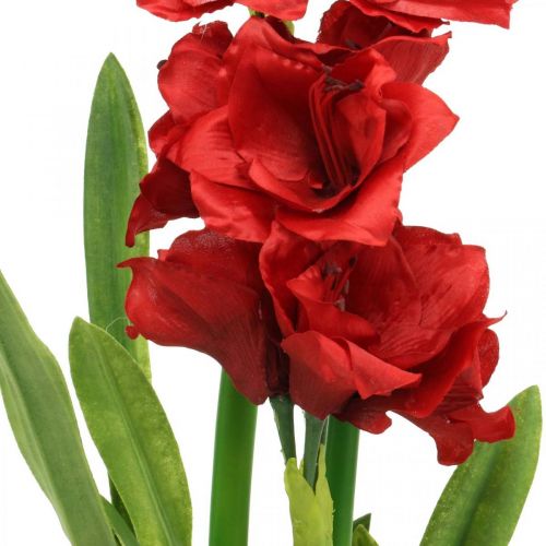 Floristik24 Konstgjord amaryllisröd 3 sidenblommor på mossakulor H64cm