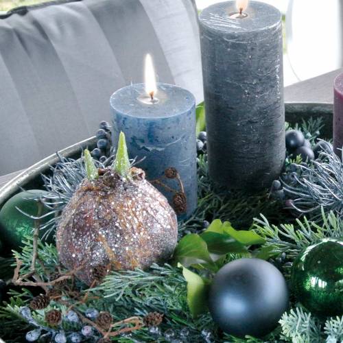 Floristik24 Amaryllis glödlampa med glitter konstgjord brun H19cm