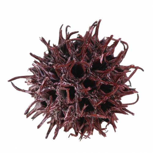 Artikel Sweetgum-strutar röda frostade 250g