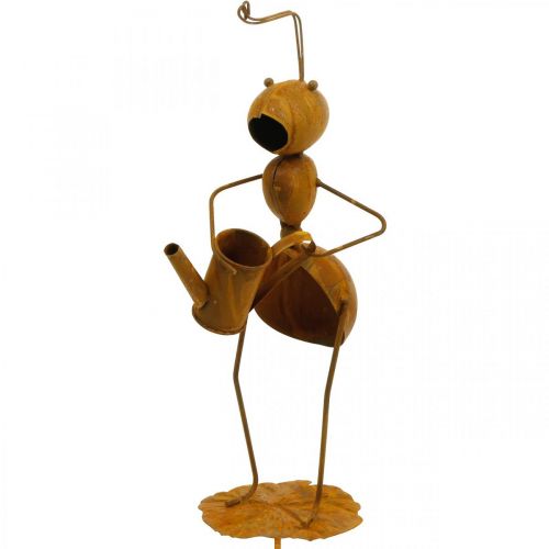 Floristik24 Dekorativ plug myra, säng dekoration, myra med vattenkanna, blomplugg patina