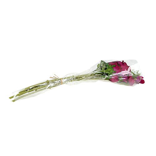Floristik24 Konstgjord anemone Fuchsia 6st