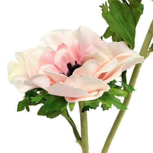 Floristik24 Konstgjord anemonrosa 6st