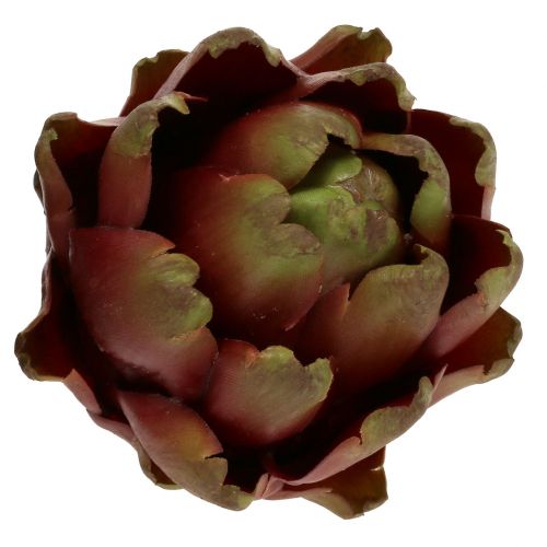 Floristik24 Kronärtskocka brun, grön Ø10cm H11cm