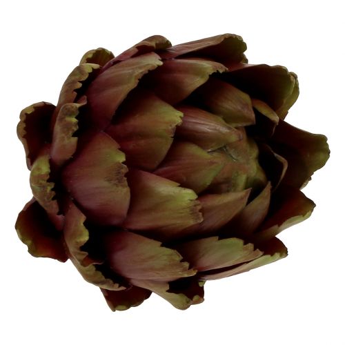 Floristik24 Kronärtskockgrön, violett Ø12cm H13cm