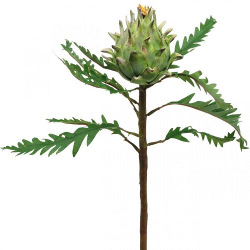 Kronärtskocka Kronärtskocka Grön Deco Höst Ø7,5cm H43cm