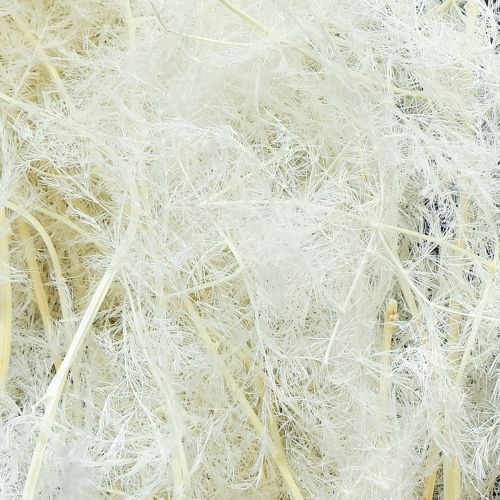 Artikel Sparris Torkade Gräs Prydnadssparriskräm 90cm 5 st