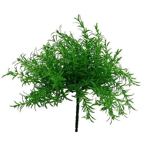 Floristik24 Sparris buske grön 25cm