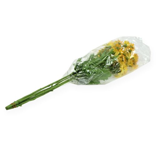 Floristik24 Dekorativ gren marguerit gul 43 cm 4st