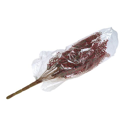 Floristik24 Astilbe bush röd 52cm