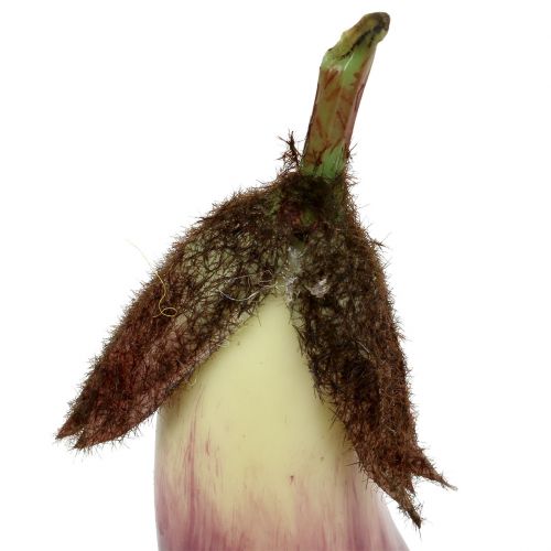 Floristik24 Aubergine 18,5cm lila