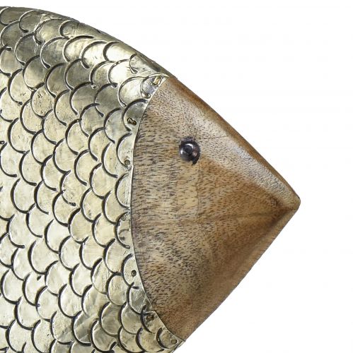 Floristik24 Trämetall dekorativ fisk maritim mässing 33x11,5x37cm