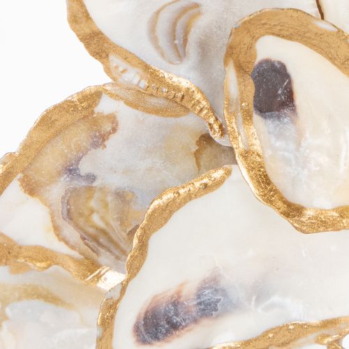 Artikel Ostronkranssnäcksdekoration, maritim heminredningsaccessoar, naturlig väggdekoration, 12 cm