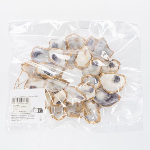 Artikel Ostronkranssnäcksdekoration, maritim heminredningsaccessoar, naturlig väggdekoration, 12 cm