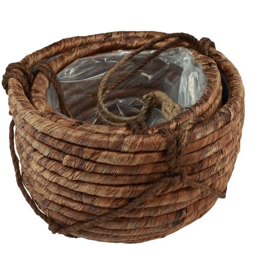 Artikel Korg för upphängning av vattenhyacintbrun 25/31cm set om 2