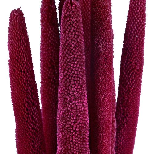 Artikel Pärlhirs, vass babala, hirsrosa 70cm 10 st