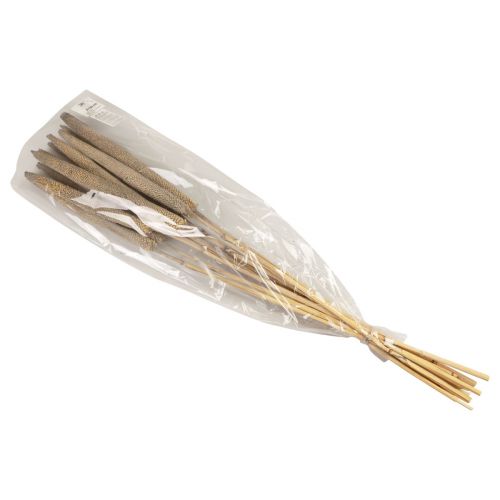 Artikel Pärlhirs, vass babala, grön hirs 70cm 10 st