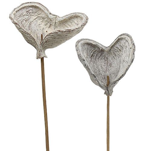 Artikel Badam på pinne vitkalkad 12cm L55cm 23 st