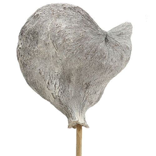 Artikel Badam på pinne vitkalkad 12cm L55cm 23 st