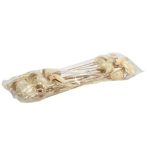 Floristik24 Badam på pinne blekt 6cm - 12cm L55cm 23 st