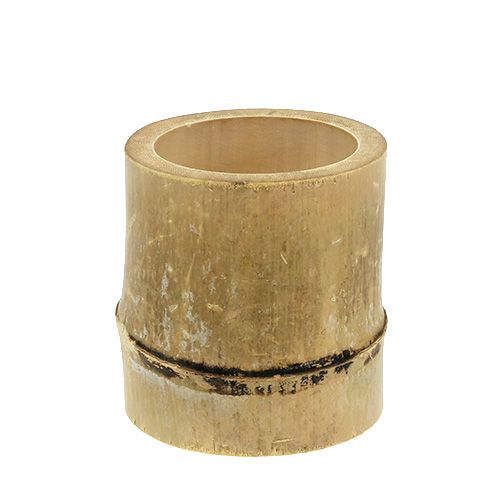Floristik24 Bambu planterare Ø7cm H10cm