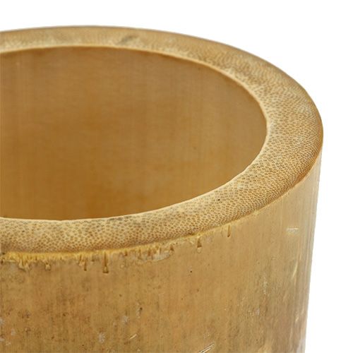 Floristik24 Bambu planterare Ø7cm H10cm