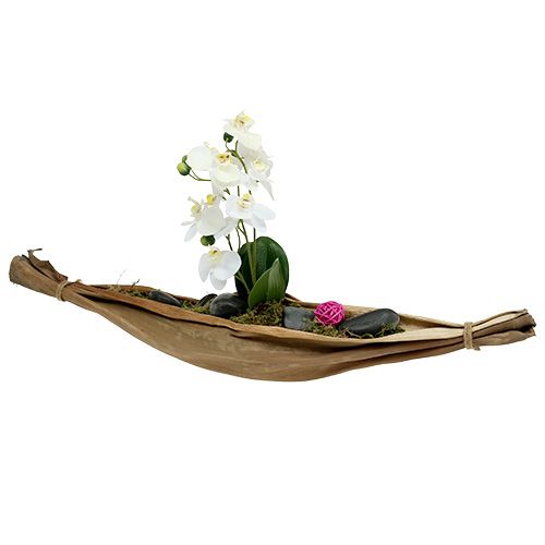 Floristik24 Bananbladsskål 40-45cm naturell 1 st