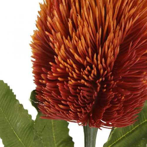 Artikel Konstgjord blomma Banksia Orange Höstdekoration Begravningsblommor 64cm