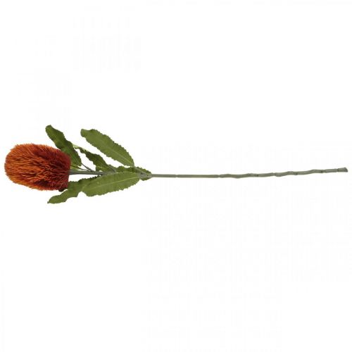 Artikel Konstgjord blomma Banksia Orange Höstdekoration Begravningsblommor 64cm