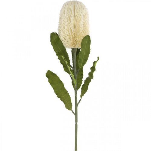 Artikel Konstgjord blomma Banksia White Cream Artificial Exotics 64cm