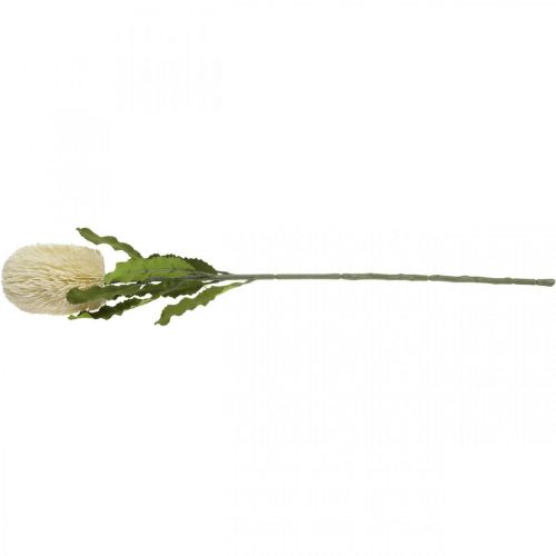 Artikel Konstgjord blomma Banksia White Cream Artificial Exotics 64cm
