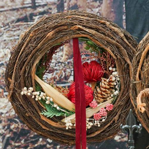 Floristik24 Banksia Baxteri Banksie exotiska torkade blommor Röda paket med 10 st