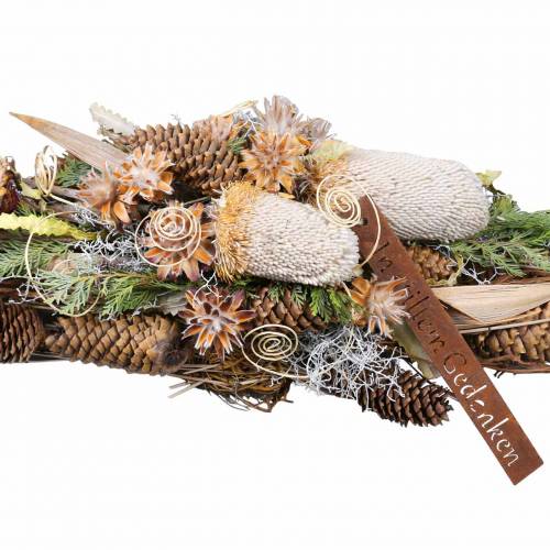 Floristik24 Banksia Hookerana naturell 7 st