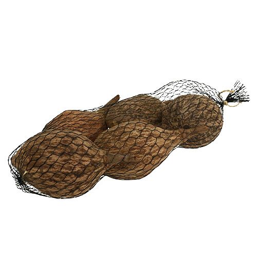 Floristik24 Baobab frukt skalad 15cm - 20cm naturell 5 st