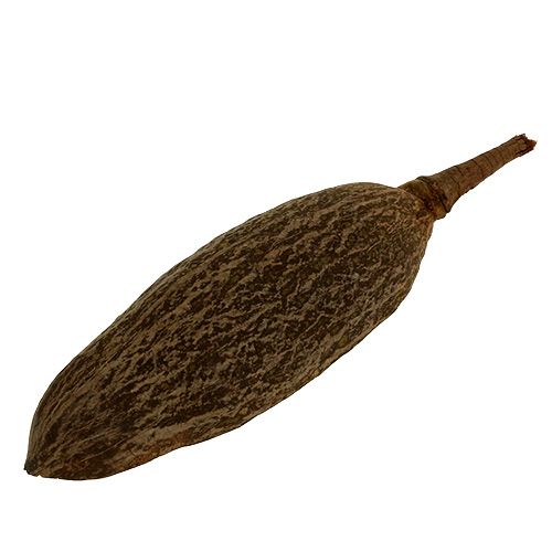 Floristik24 Baobab skål naturlig 30cm - 38cm skalad
